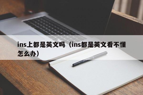ins上都是英文吗（ins都是英文看不懂怎么办） 第1张