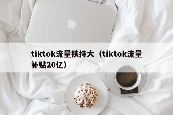 tiktok流量扶持大(tiktok流量补贴20亿) 第1张 tiktok流量扶持大(tiktok流量补贴20亿) 第1张