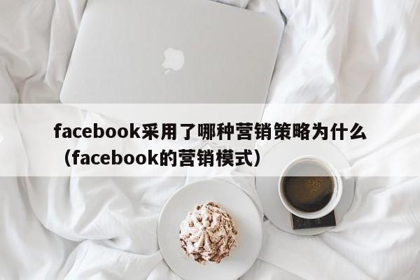 facebook采用了哪种营销策略为什么(facebook的营销模式) 第1张 facebook采用了哪种营销策略为什么(facebook的营销模式) 第1张