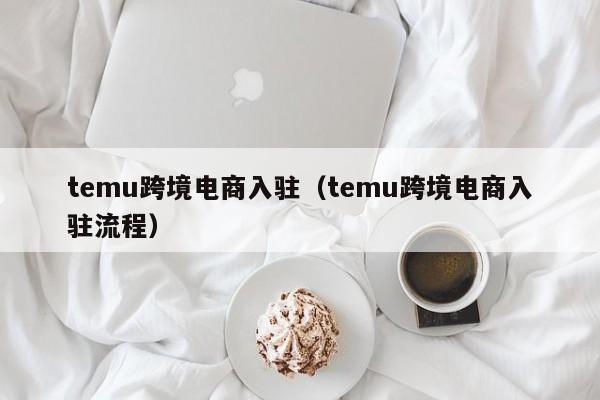 temu跨境电商入驻（temu跨境电商入驻流程） 第1张