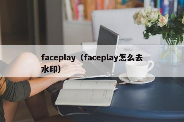 faceplay（faceplay怎么去水印） 第1张