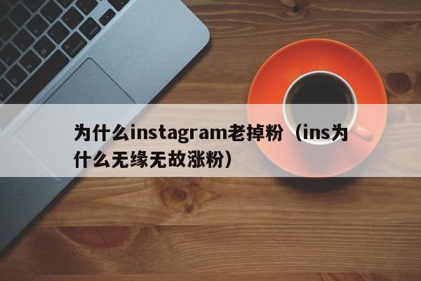 为什么instagram老掉粉（ins为什么无缘无故涨粉） 第1张