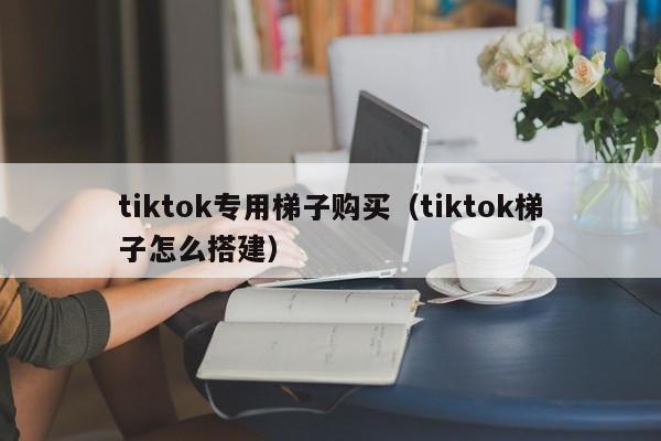 tiktok专用梯子购买（tiktok梯子怎么搭建） 第1张