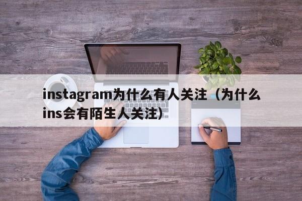 instagram为什么有人关注（为什么ins会有陌生人关注） 第1张