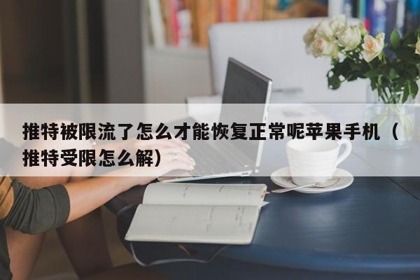 推特被限流了怎么才能恢复正常呢苹果手机（推特受限怎么解） 第1张
