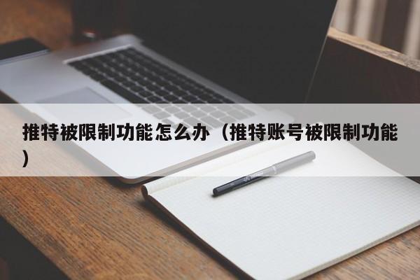 推特被限制功能怎么办（推特账号被限制功能） 第1张