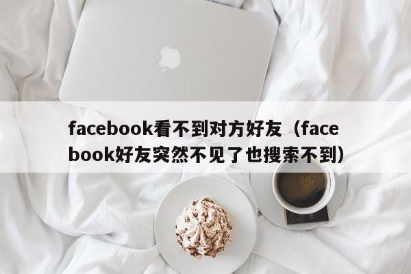 facebook看不到对方好友（facebook好友突然不见了也搜索不到） 第1张