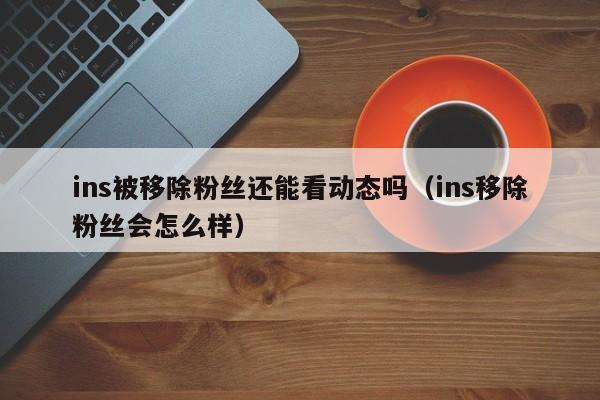 ins被移除粉丝还能看动态吗(ins移除粉丝会怎么样) 第1张 ins被移除粉丝还能看动态吗(ins移除粉丝会怎么样) 第1张