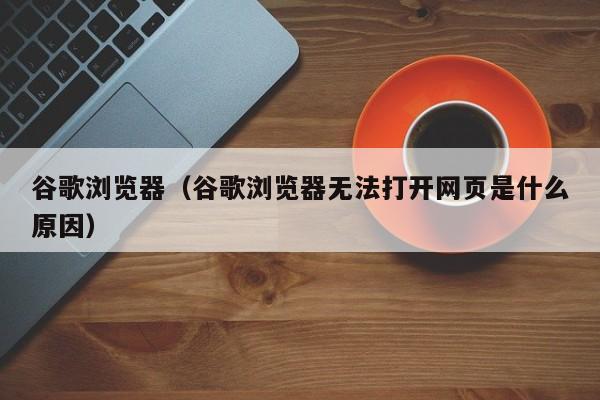 谷歌浏览器（谷歌浏览器无法打开网页是什么原因） 第1张