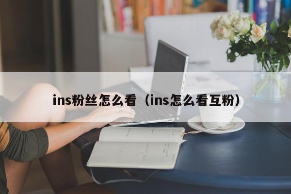 ins粉丝怎么看（ins怎么看互粉） 第1张