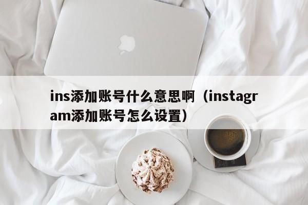 ins添加账号什么意思啊(instagram添加账号怎么设置) 第1张 ins添加账号什么意思啊(instagram添加账号怎么设置) 第1张
