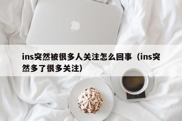 ins突然被很多人关注怎么回事（ins突然多了很多关注） 第1张