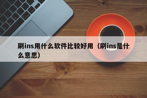 刷ins用什么软件比较好用（刷ins是什么意思） 第1张