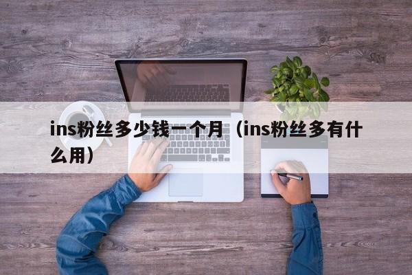 ins粉丝多少钱一个月（ins粉丝多有什么用） 第1张