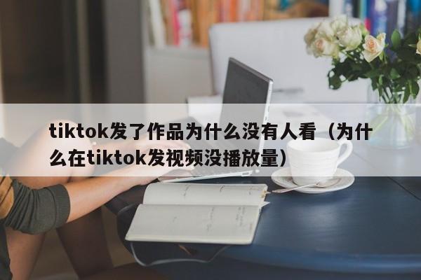 tiktok发了作品为什么没有人看(为什么在tiktok发视频没播放量) 第1张 tiktok发了作品为什么没有人看(为什么在tiktok发视频没播放量) 第1张