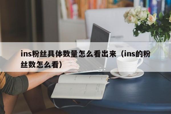 ins粉丝具体数量怎么看出来（ins的粉丝数怎么看） 第1张