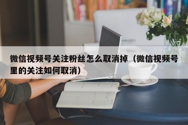 微信视频号关注粉丝怎么取消掉（微信视频号里的关注如何取消） 第1张