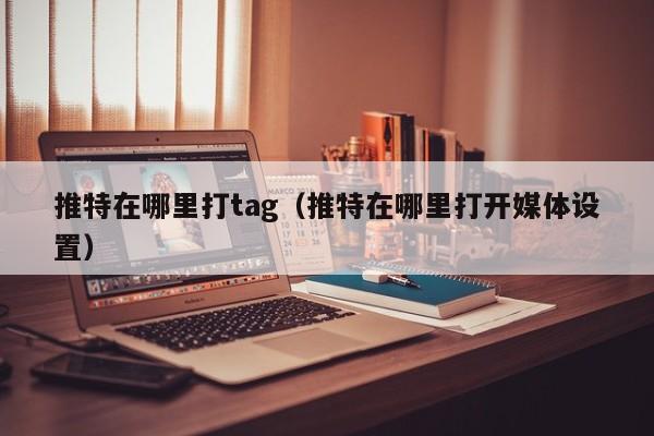 推特在哪里打tag（推特在哪里打开媒体设置） 第1张