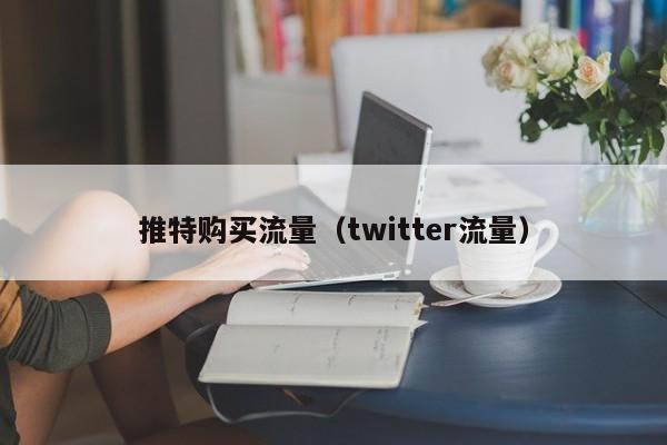 推特购买流量（twitter流量） 第1张