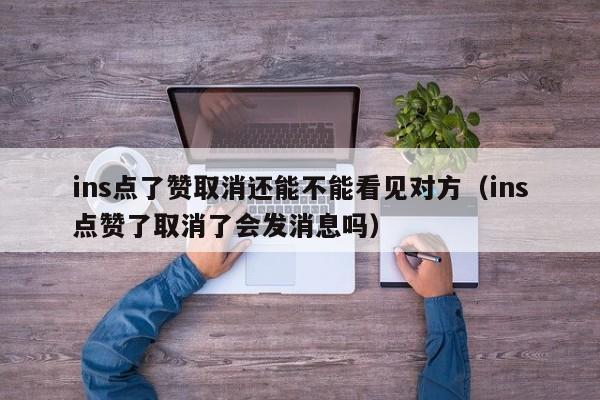 ins点了赞取消还能不能看见对方（ins点赞了取消了会发消息吗） 第1张