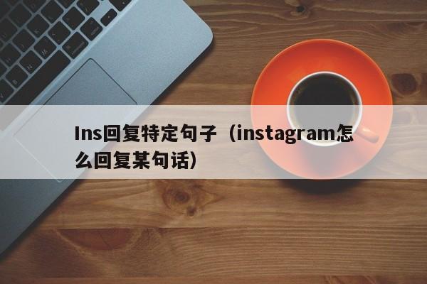 Ins回复特定句子（instagram怎么回复某句话） 第1张