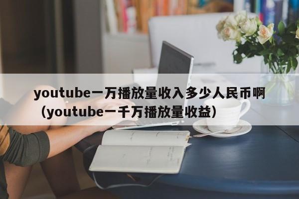 youtube一万播放量收入多少人民币啊（youtube一千万播放量收益） 第1张