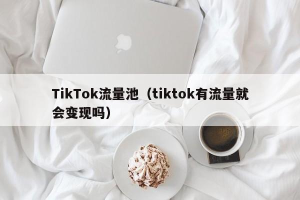 TikTok流量池（tiktok有流量就会变现吗） 第1张