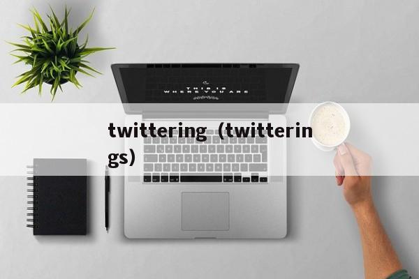 twittering(twitterings) 第1张 twittering(twitterings) 第1张