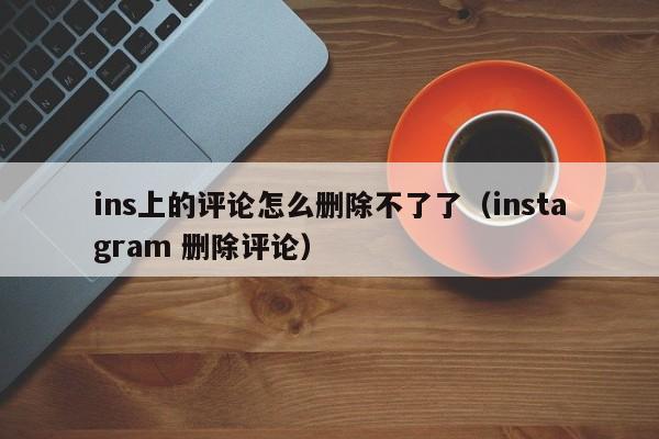 ins上的评论怎么删除不了了（instagram 删除评论） 第1张
