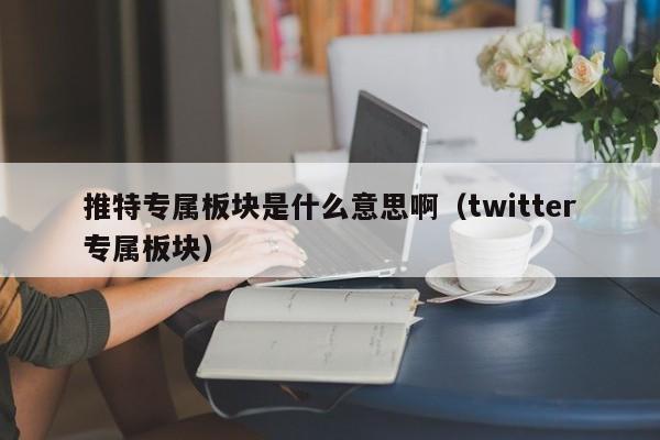 推特专属板块是什么意思啊（twitter专属板块） 第1张