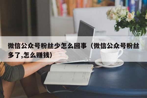 微信公众号粉丝少怎么回事（微信公众号粉丝多了,怎么赚钱） 第1张