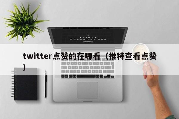twitter点赞的在哪看（推特查看点赞） 第1张