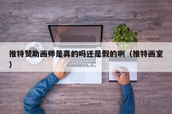 推特赞助画师是真的吗还是假的啊（推特画室） 第1张