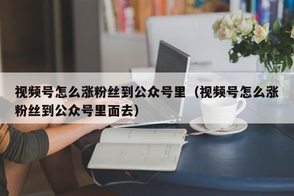 视频号怎么涨粉丝到公众号里（视频号怎么涨粉丝到公众号里面去） 第1张