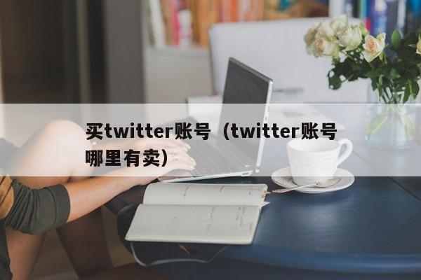 买twitter账号（twitter账号哪里有卖） 第1张
