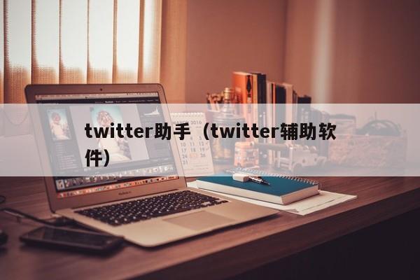 twitter助手（twitter辅助软件） 第1张