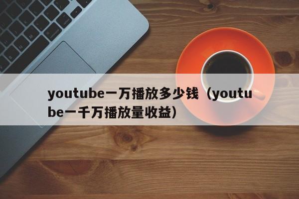 youtube一万播放多少钱(youtube一千万播放量收益) 第1张 youtube一万播放多少钱(youtube一千万播放量收益) 第1张