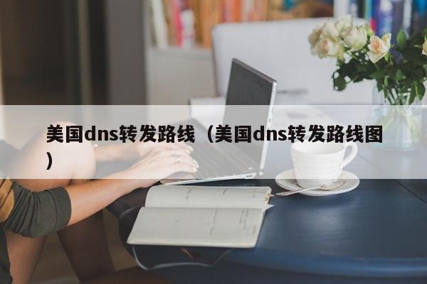 美国dns转发路线(美国dns转发路线图) 第1张 美国dns转发路线(美国dns转发路线图) 第1张