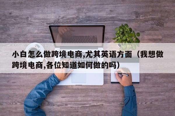 小白怎么做跨境电商,尤其英语方面（我想做跨境电商,各位知道如何做的吗） 第1张