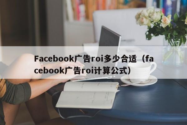 Facebook广告roi多少合适（facebook广告roi计算公式） 第1张