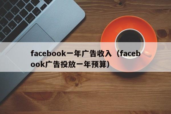 facebook一年广告收入（facebook广告投放一年预算） 第1张