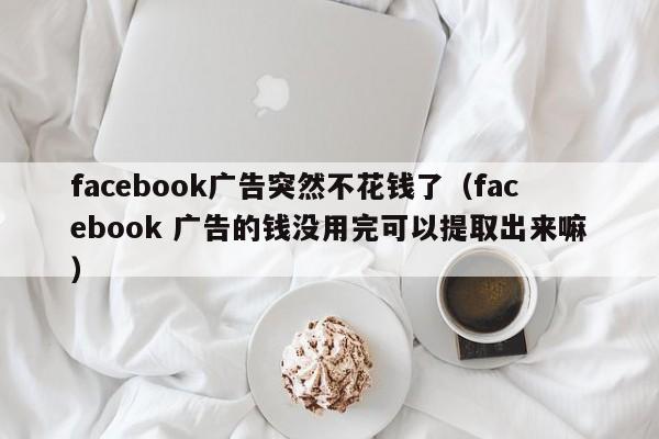 facebook广告突然不花钱了（facebook 广告的钱没用完可以提取出来嘛） 第1张