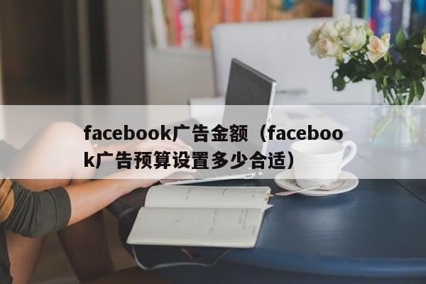 facebook广告金额(facebook广告预算设置多少合适) 第1张 facebook广告金额(facebook广告预算设置多少合适) 第1张