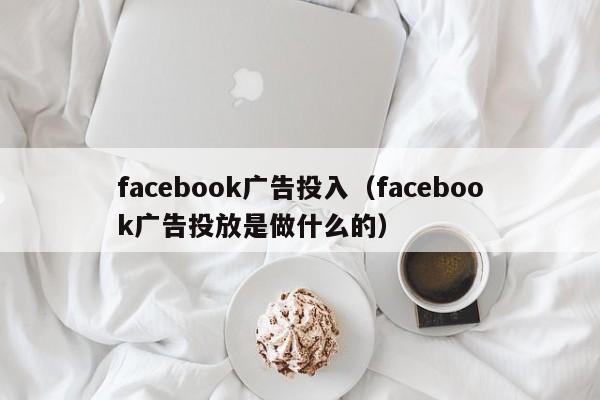 facebook广告投入（facebook广告投放是做什么的） 第1张