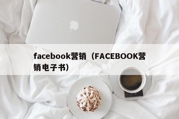 facebook营销(FACEBOOK营销电子书) 第1张 facebook营销(FACEBOOK营销电子书) 第1张