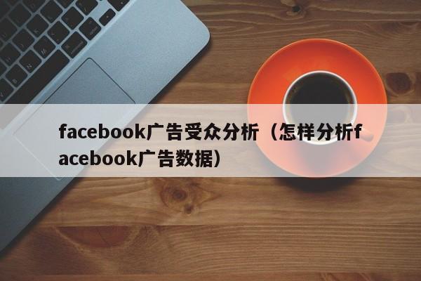facebook广告受众分析(怎样分析facebook广告数据) 第1张 facebook广告受众分析(怎样分析facebook广告数据) 第1张