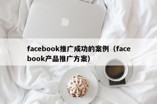 facebook推广成功的案例(facebook产品推广方案) 第1张 facebook推广成功的案例(facebook产品推广方案) 第1张