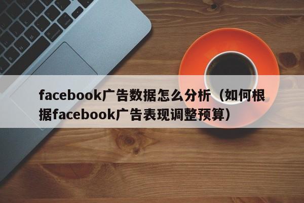 facebook广告数据怎么分析(如何根据facebook广告表现调整预算) 第1张 facebook广告数据怎么分析(如何根据facebook广告表现调整预算) 第1张