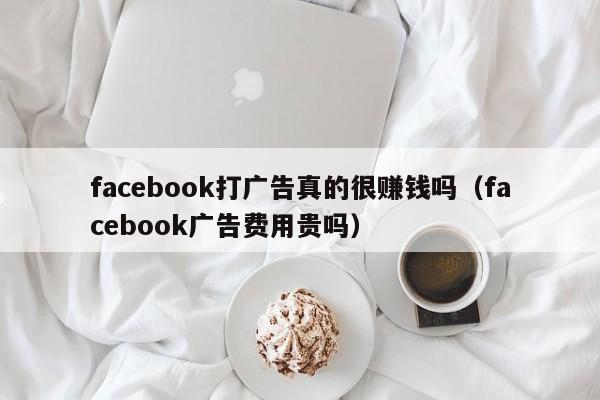 facebook打广告真的很赚钱吗(facebook广告费用贵吗) 第1张 facebook打广告真的很赚钱吗(facebook广告费用贵吗) 第1张