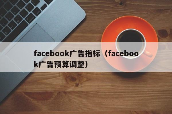 facebook广告指标（facebook广告预算调整） 第1张